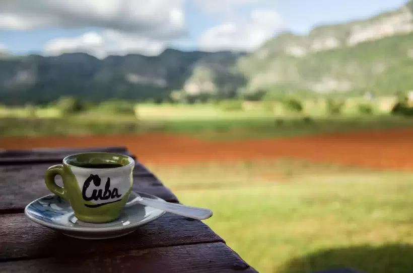 Cuban Espresso or Colada Coffee