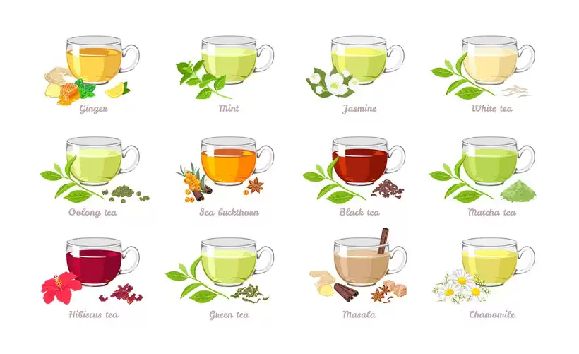Different Types of Teas