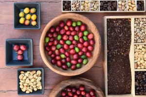 Types of Coffee Beans